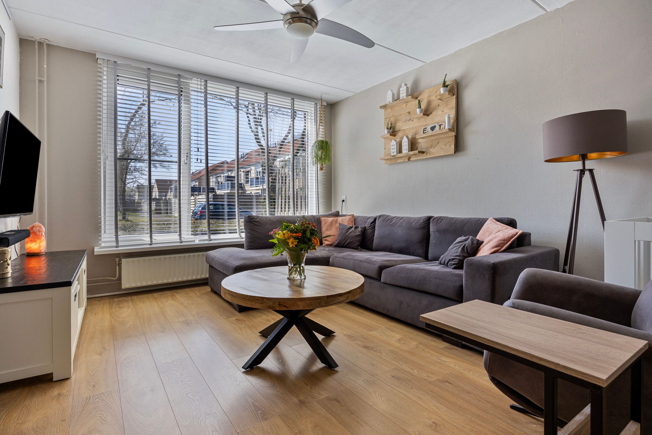 Photo 3 of Cartonbaan 29