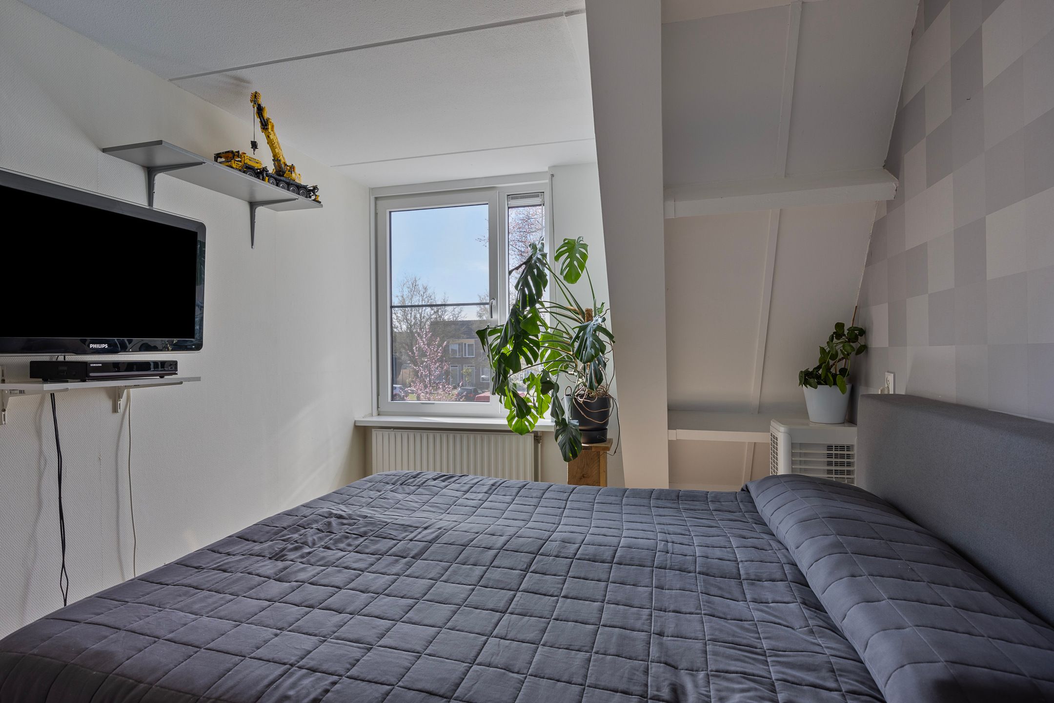 Photo 15 of Cartonbaan 29