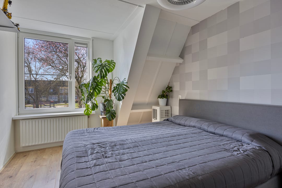 Photo 16 of Cartonbaan 29