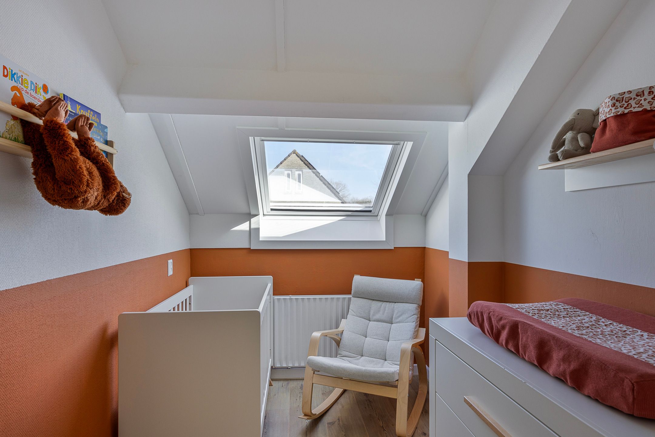 Photo 24 of Cartonbaan 29