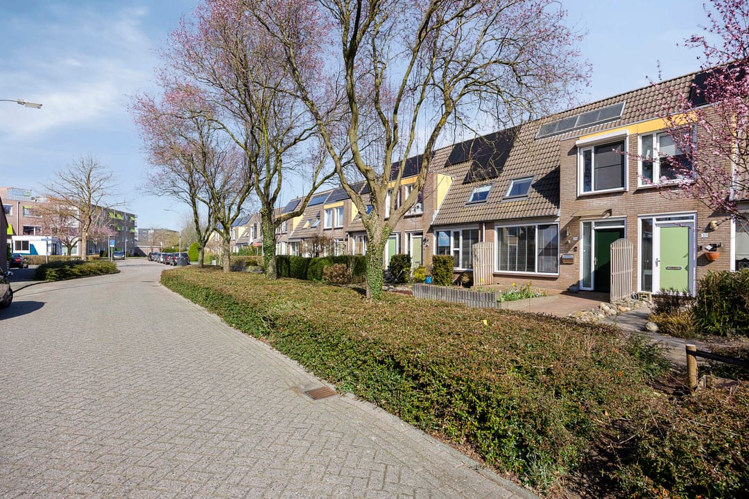 Photo 31 of Cartonbaan 29