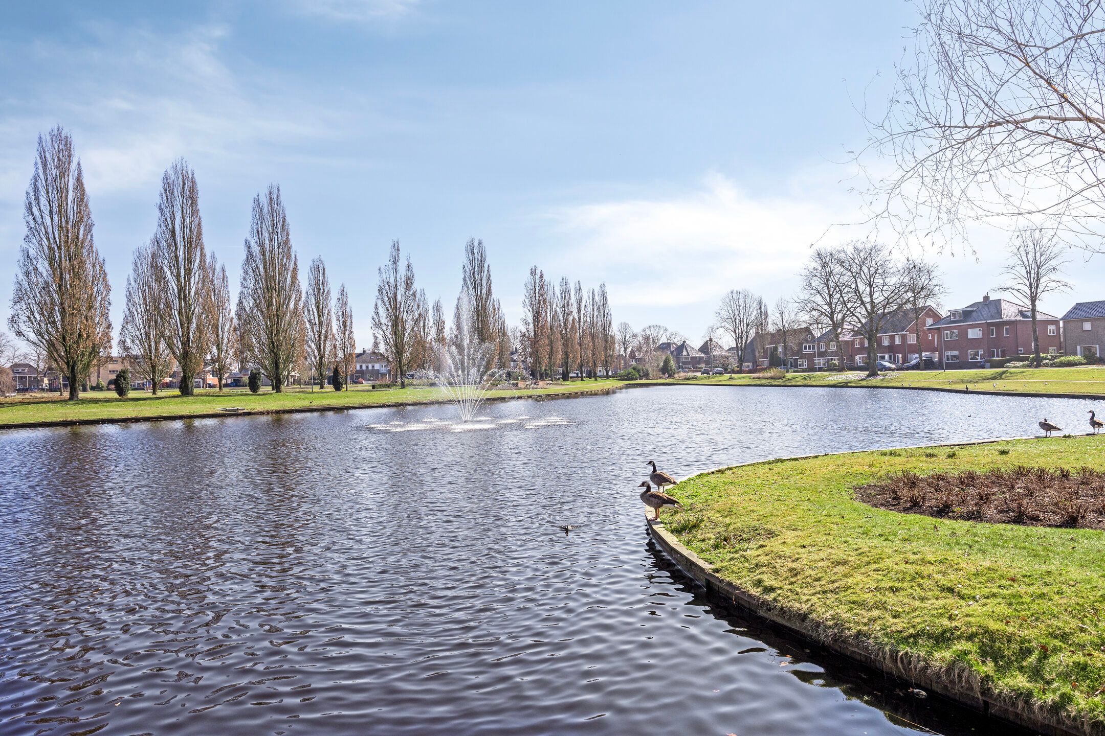 Photo 39 of Cartonbaan 29