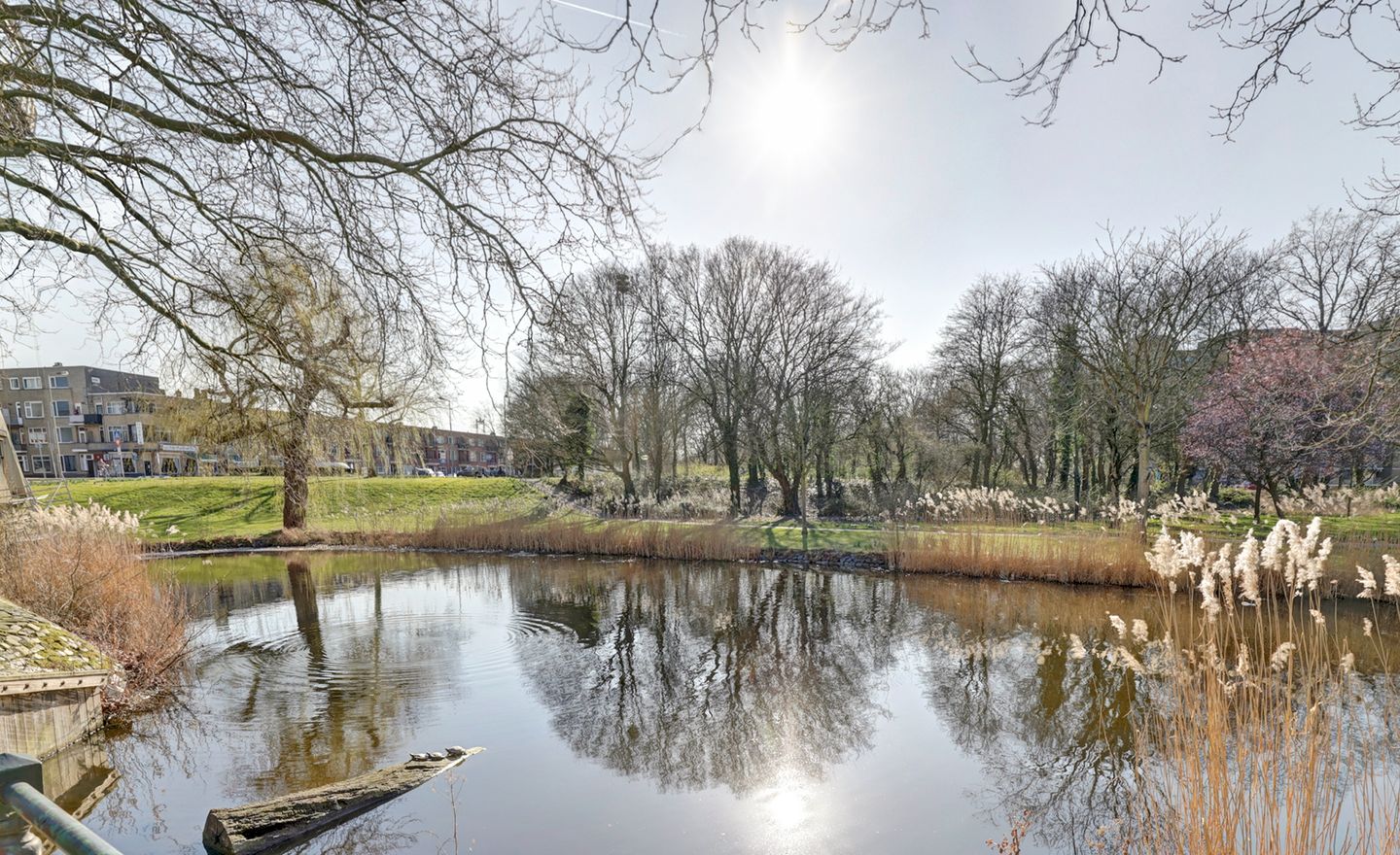 Foto 34 van Vlaardingerstraat 24