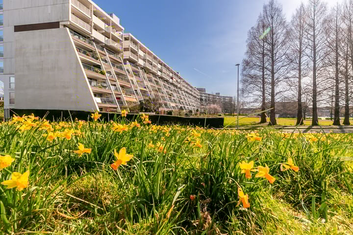 Photo 6 of Du Meelaan 322