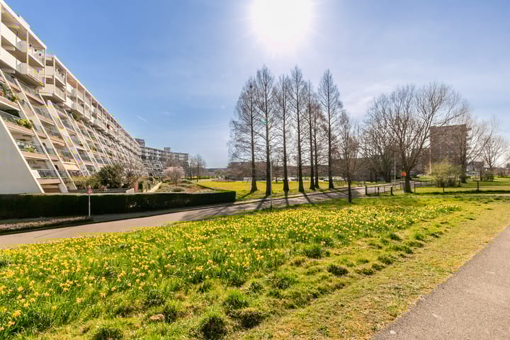 Photo 24 of Du Meelaan 322