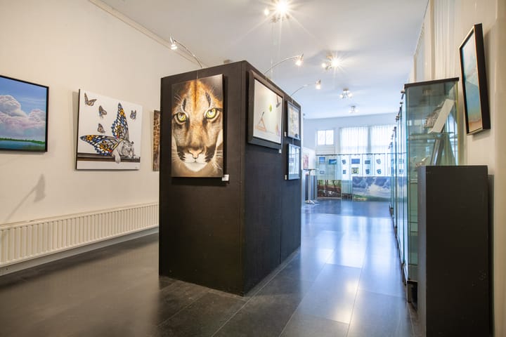 Foto 71 van Hoge Gouwe 115