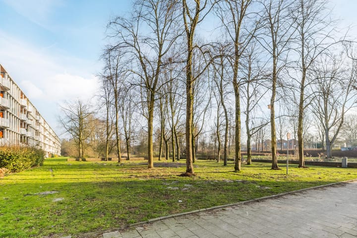 Foto 32 van Het Laagt 56