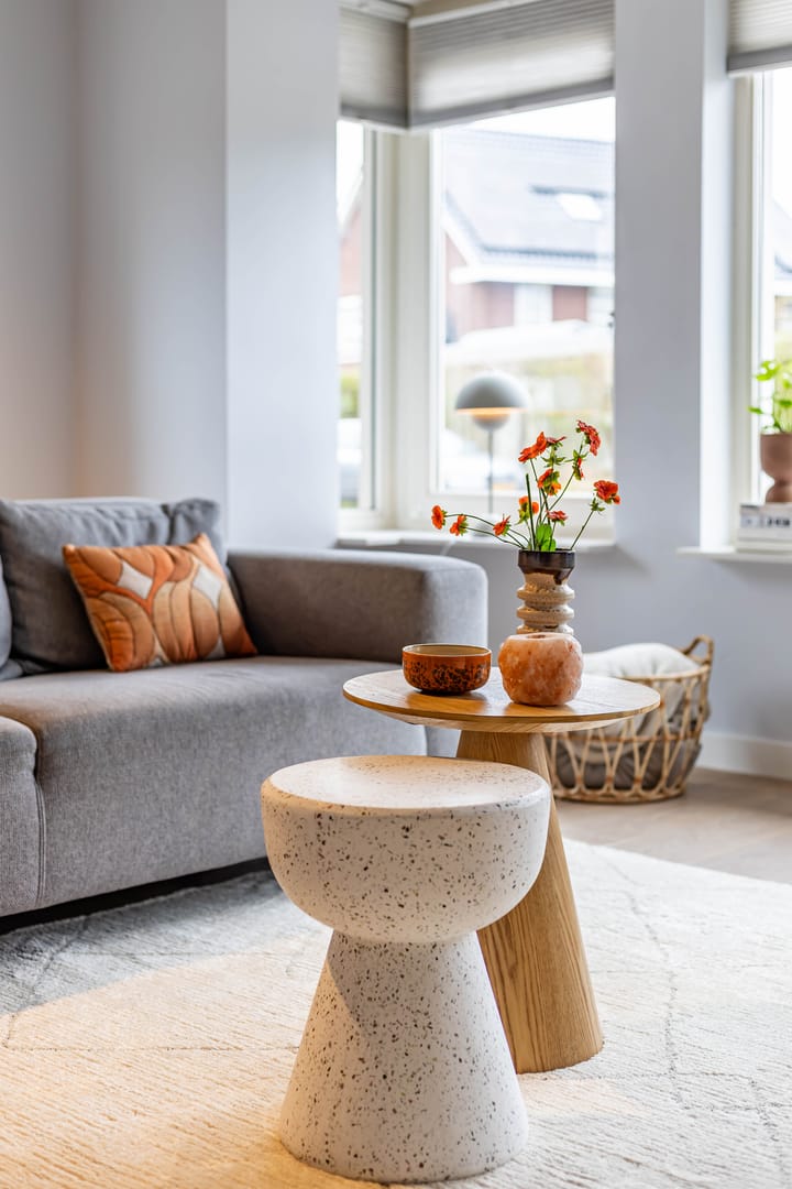 Foto 11 van Vederkruid 26