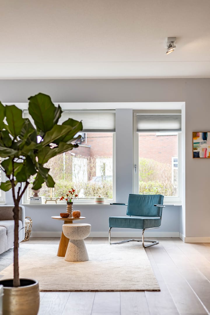 Foto 16 van Vederkruid 26