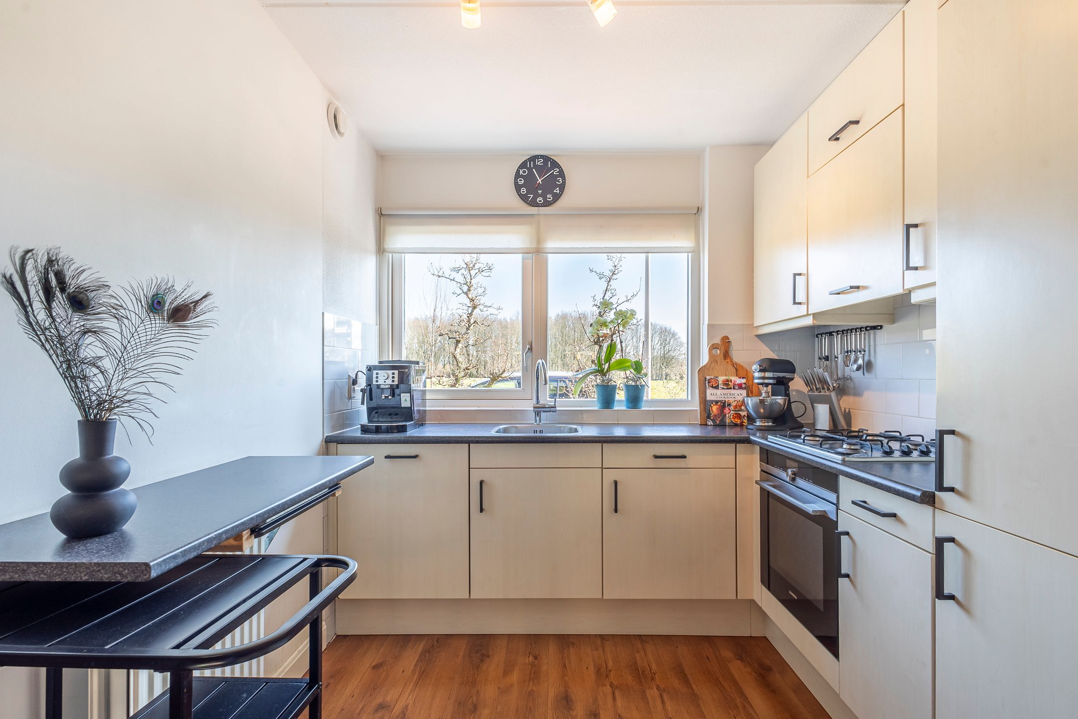 Foto 15 van Standerdmolen 4