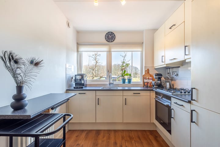 Foto 15 van Standerdmolen 4