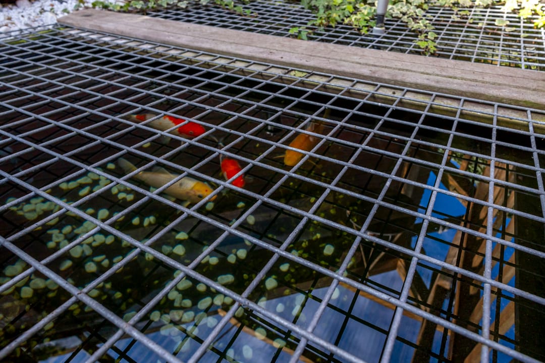 Foto 38 van Standerdmolen 4