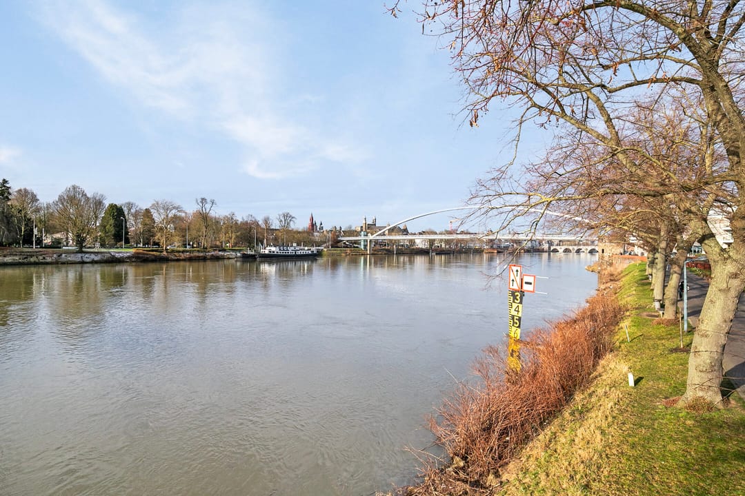 Photo 43 of Boschcour 52