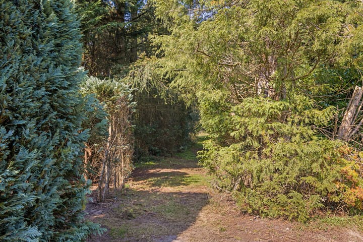 Foto 46 van Ruiterweg 79