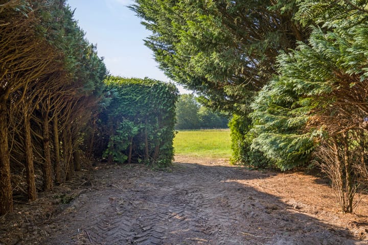 Foto 47 van Ruiterweg 79