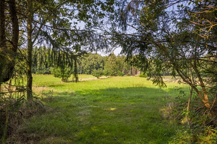 Foto 50 van Ruiterweg 79