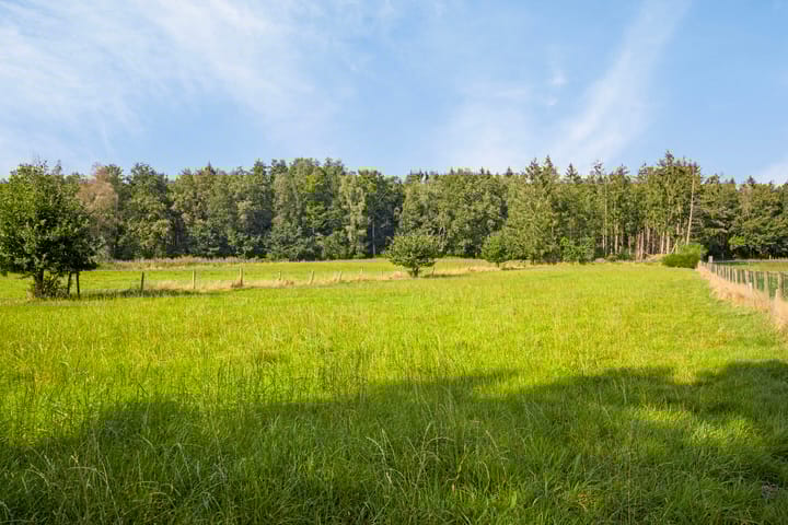 Foto 51 van Ruiterweg 79