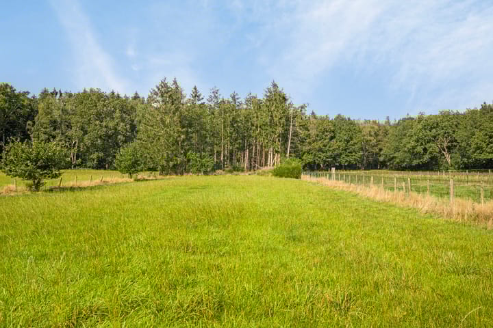 Foto 52 van Ruiterweg 79