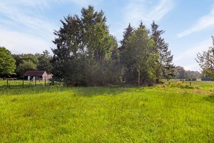 Foto 53 van Ruiterweg 79