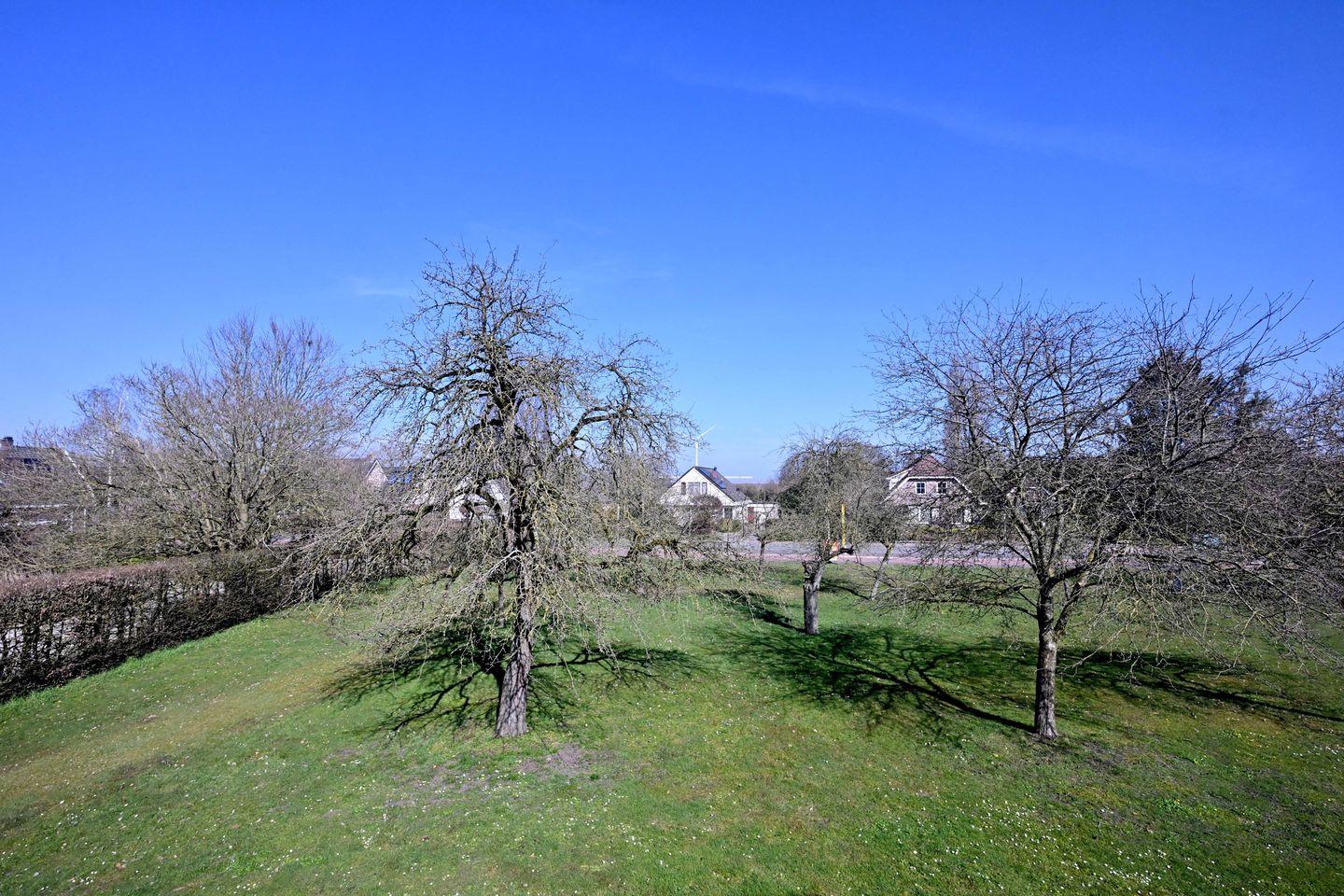 Foto 4 van Settershof 11