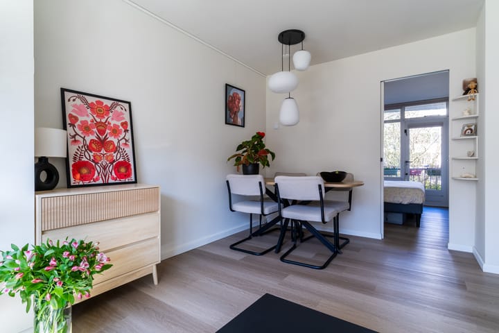 Foto 10 van Van Ostadelaan 114