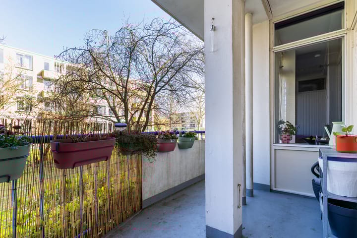 Foto 23 van Van Ostadelaan 114