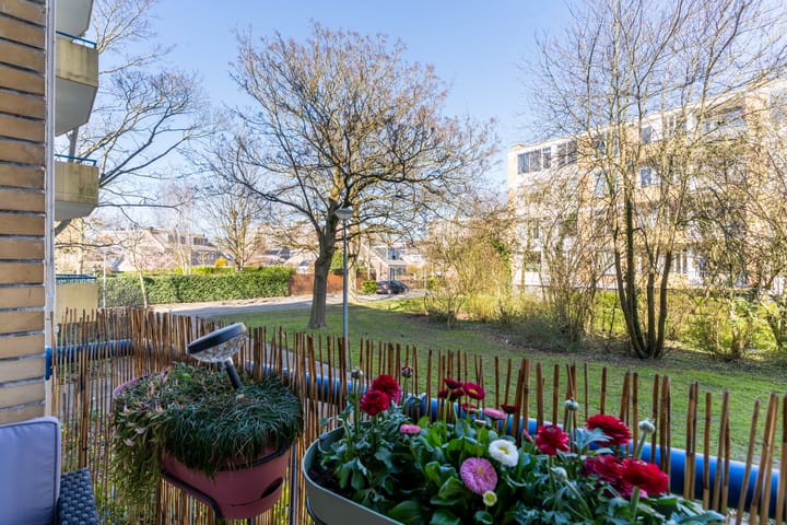 Foto 25 van Van Ostadelaan 114