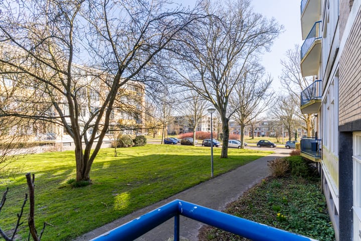 Foto 26 van Van Ostadelaan 114