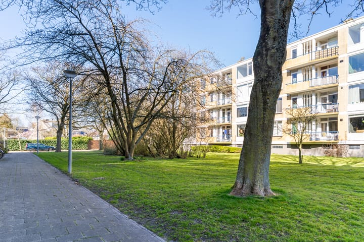 Foto 31 van Van Ostadelaan 114