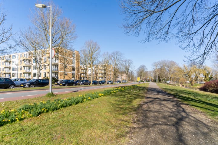 Foto 35 van Van Ostadelaan 114