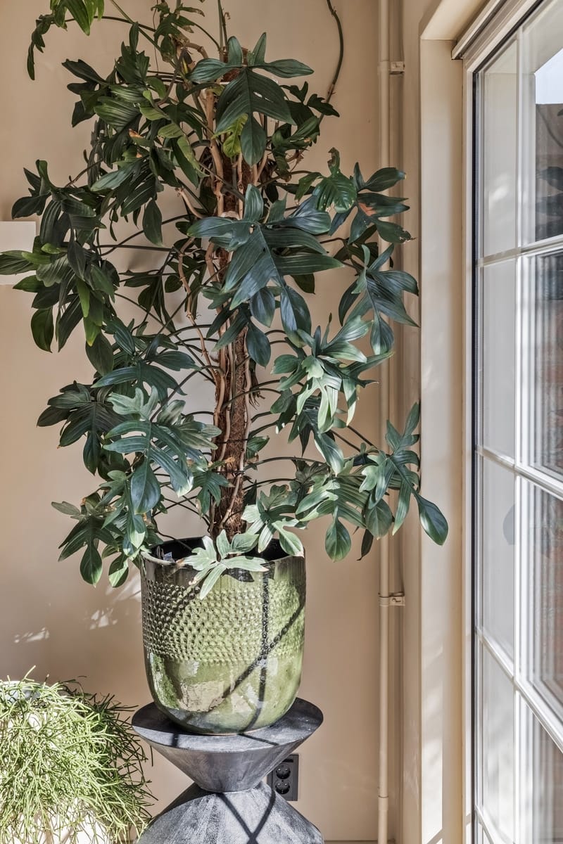 Photo 44 of Hyacinthstraat 2