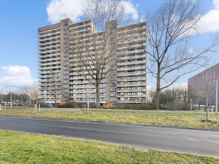 Foto 34 van Groningensingel 933