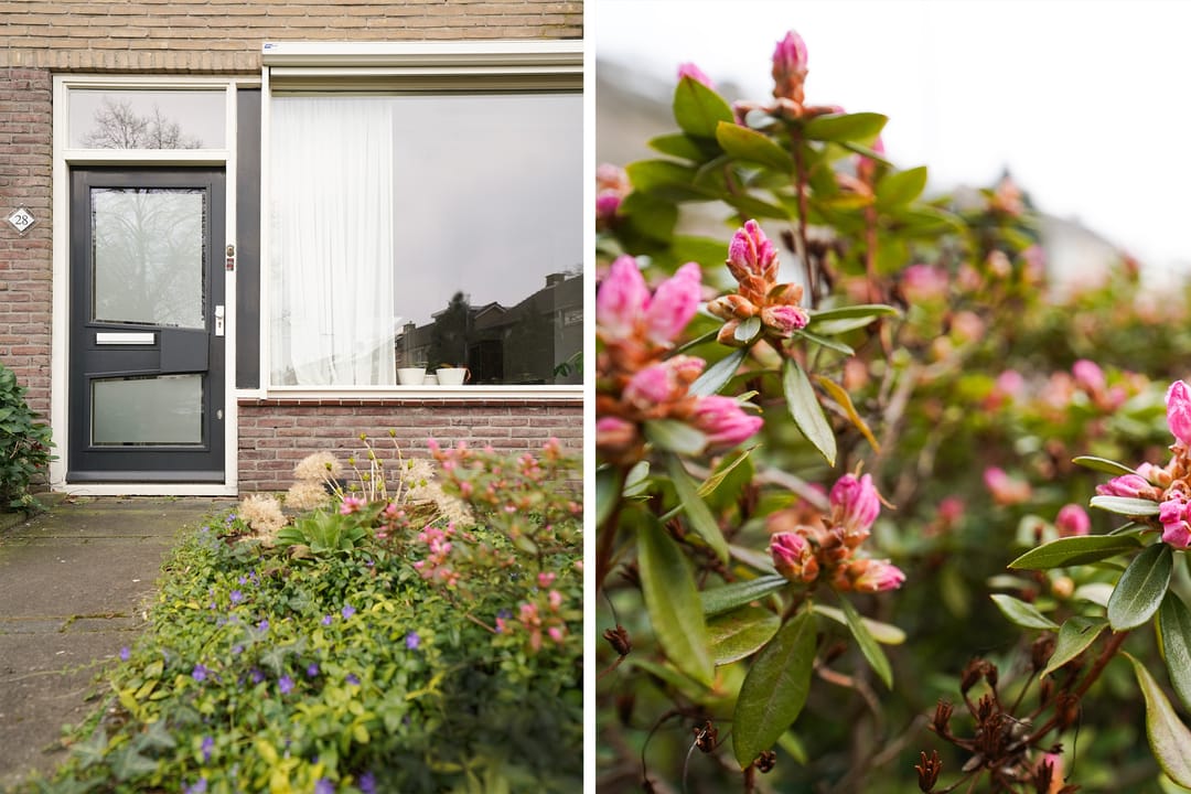 Foto 2 van Nic Beetsstraat 28