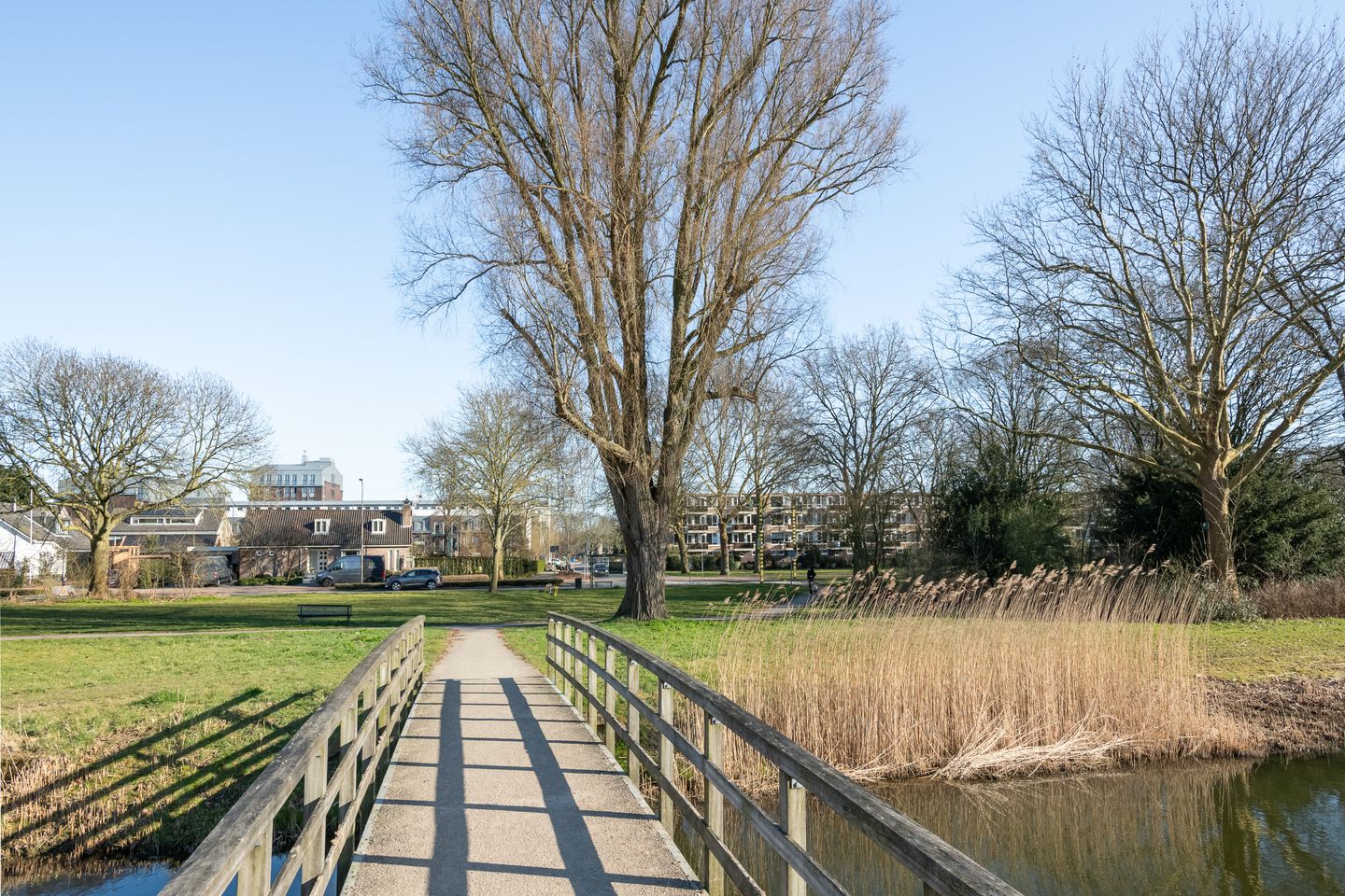 Foto 25 van Mozartstraat 14