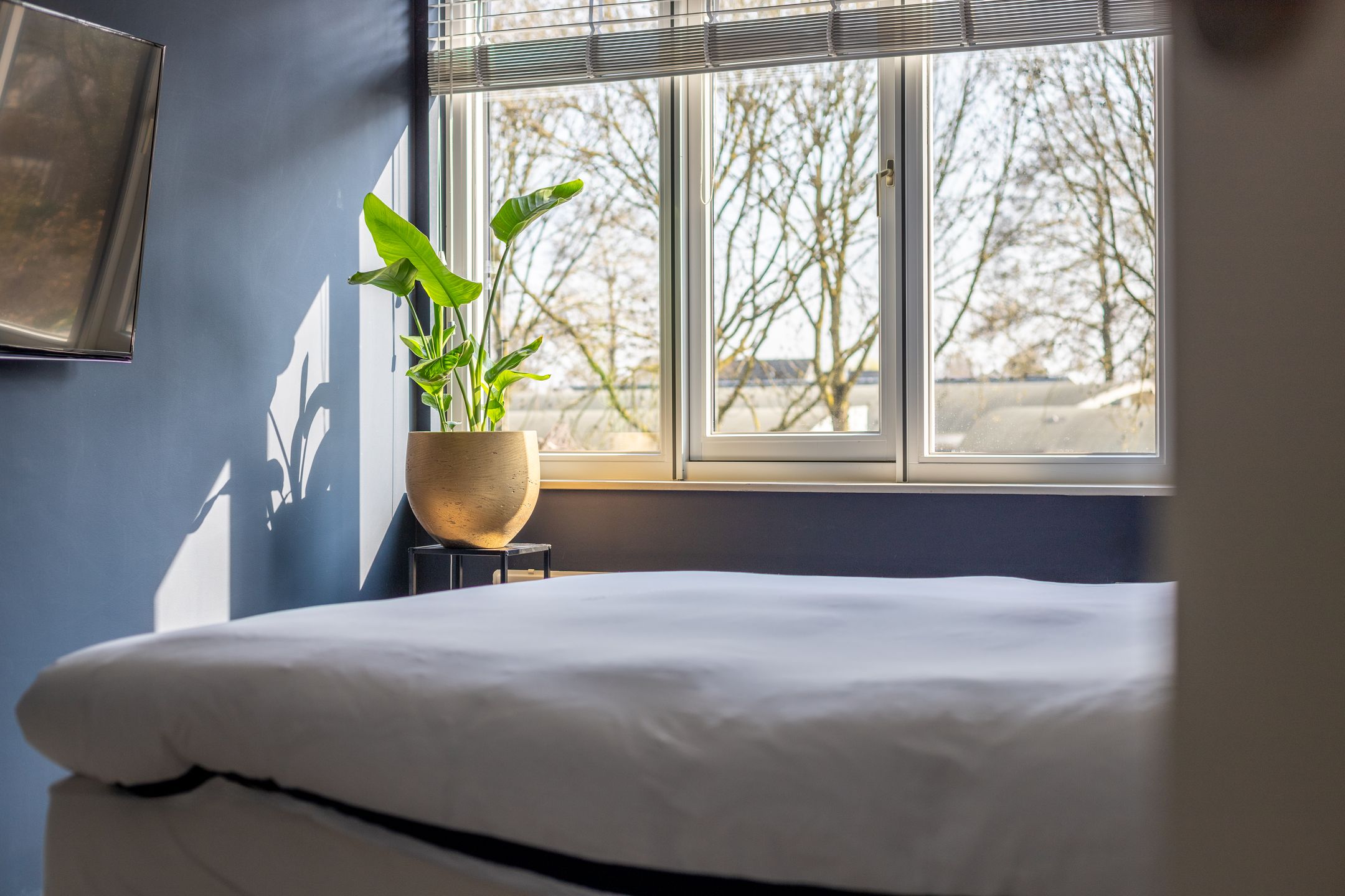 Foto 18 van Prof.Mr. P.J. Oudstraat 40