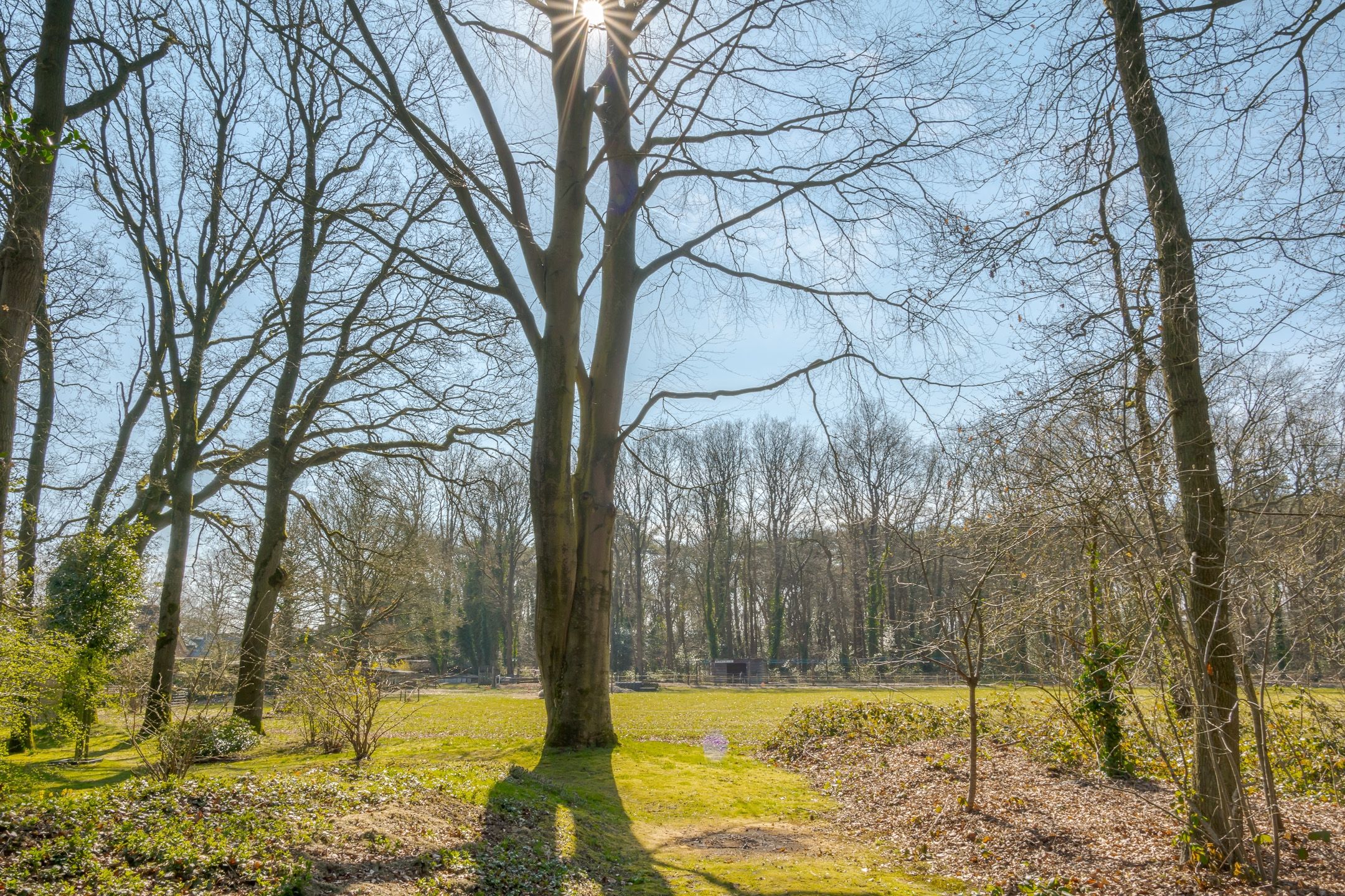 Foto 6 van Hoofdstraat 45