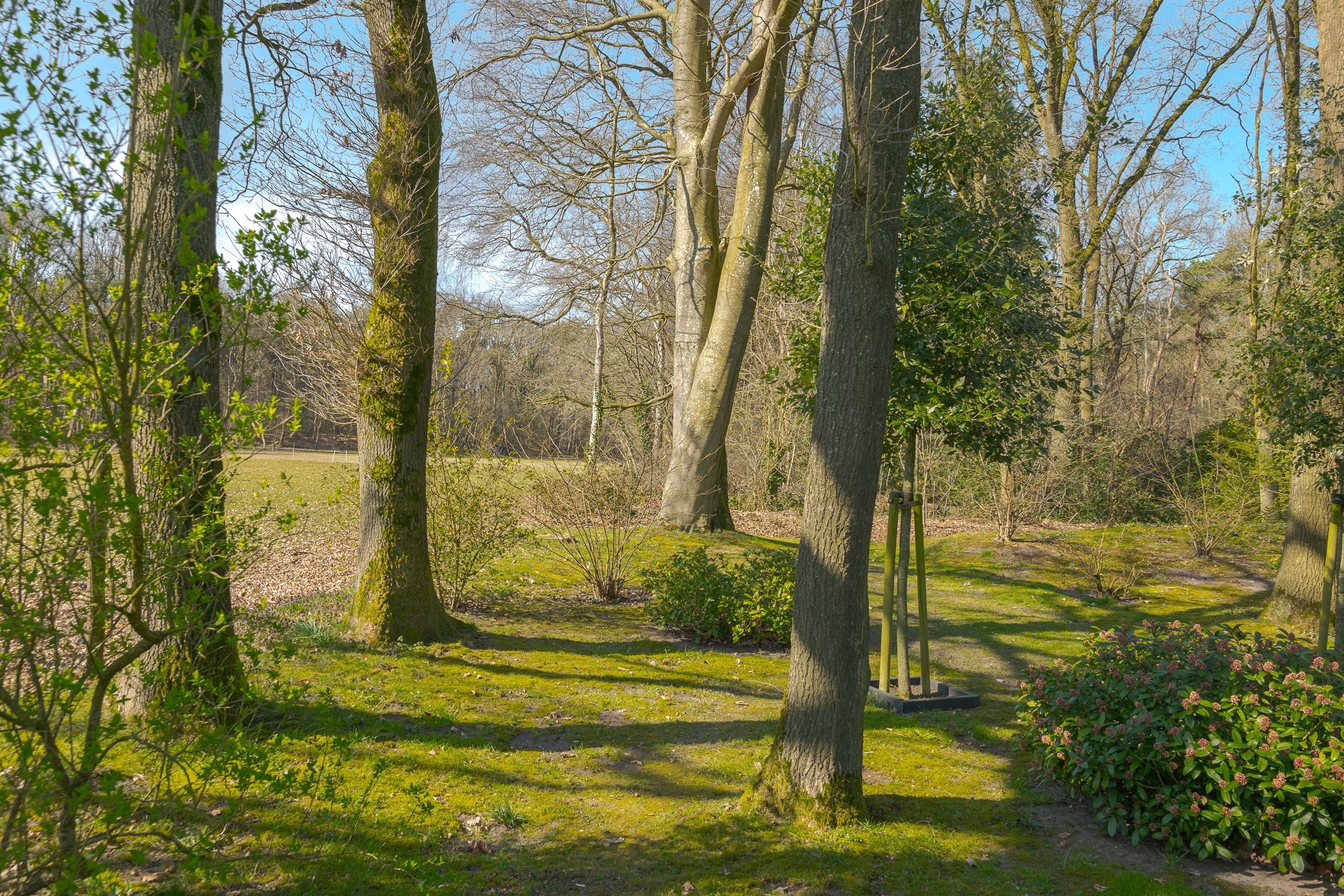 Foto 51 van Hoofdstraat 45