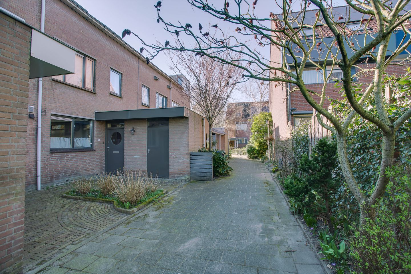 Foto 35 van Bereklauw 49