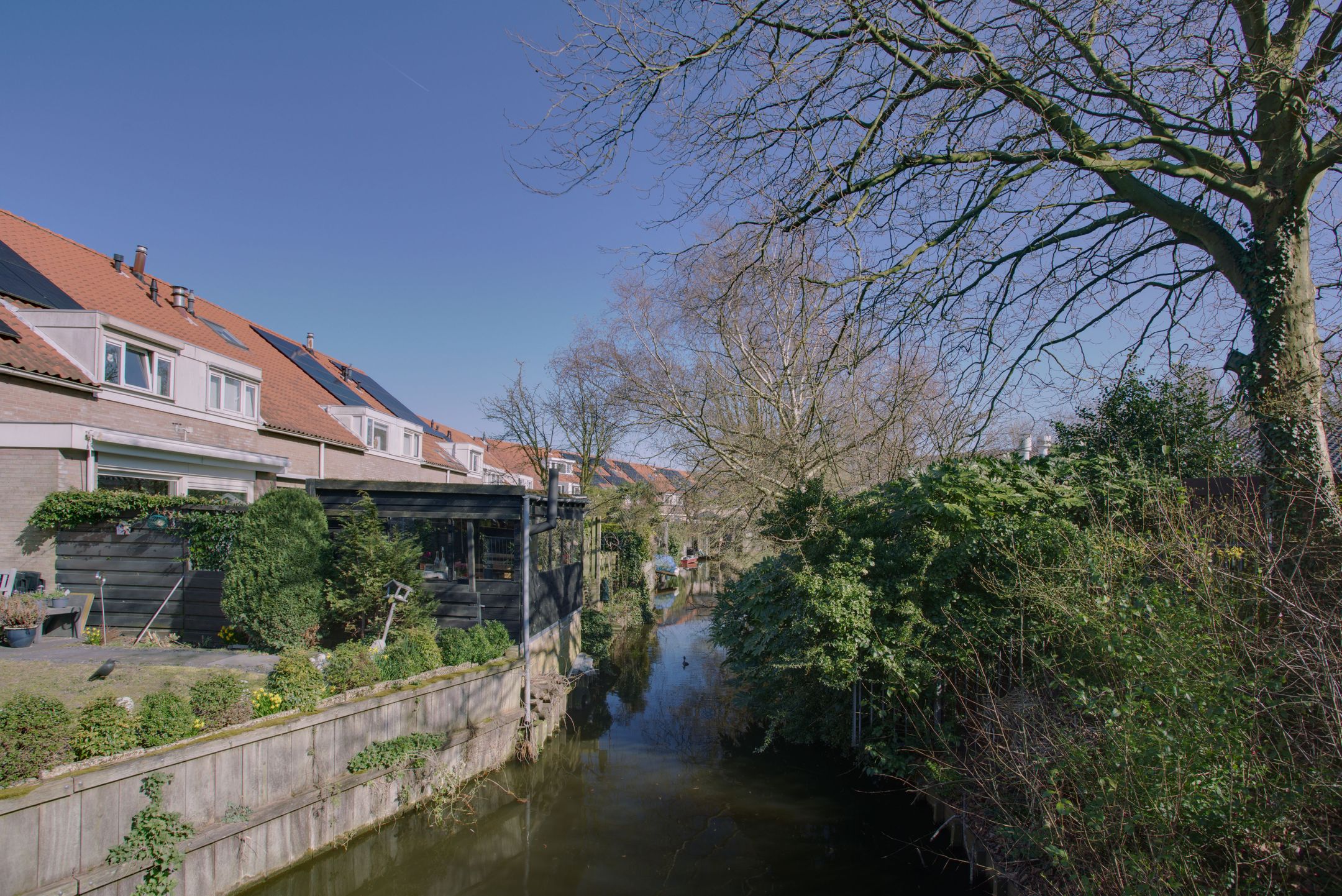 Foto 36 van Bereklauw 49