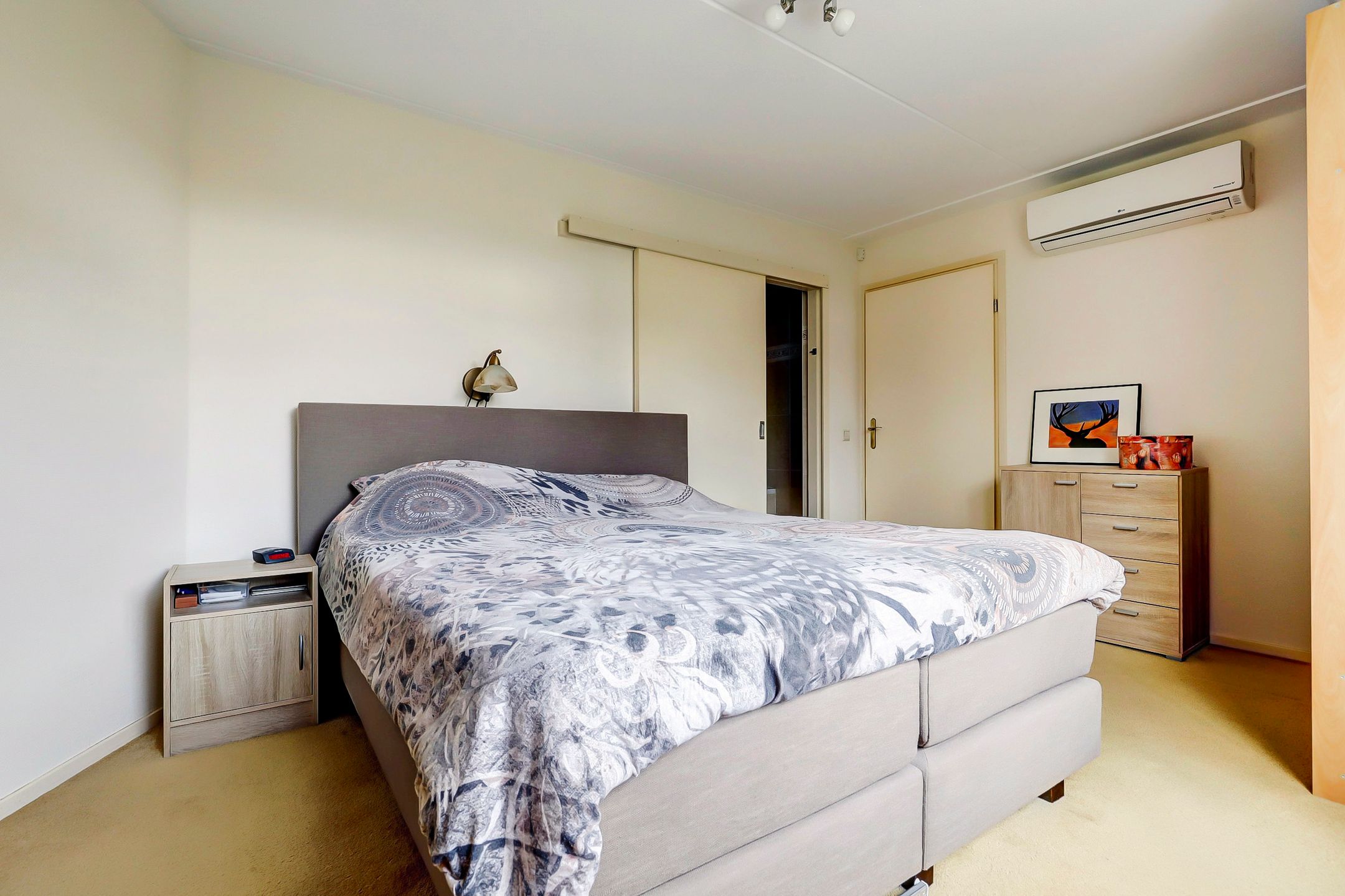 Foto 21 van Bothastraat 9