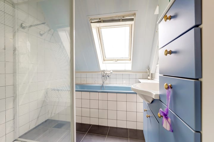 Foto 32 van Bothastraat 9