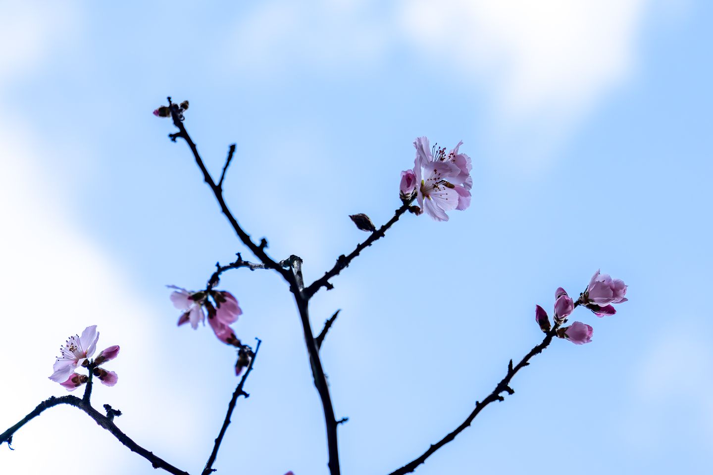 Photo 20 of Vechtstraat 124-H