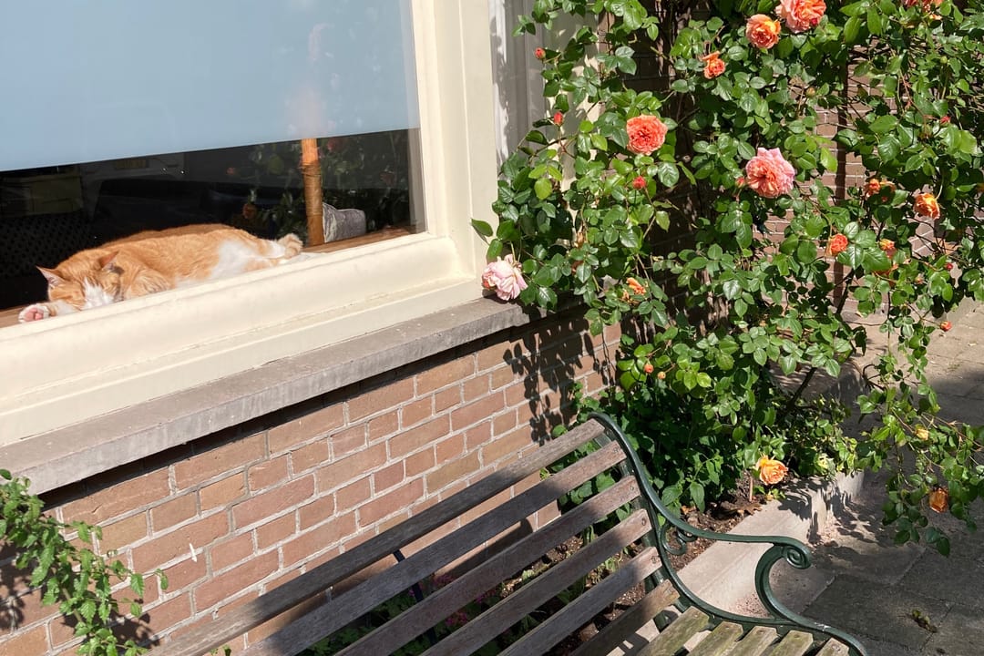 Photo 32 of Vechtstraat 124-H