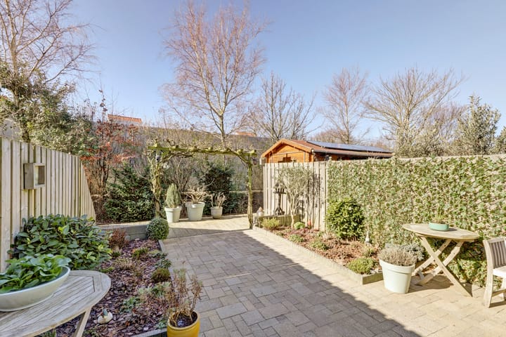 Foto 3 van Zeearend 20