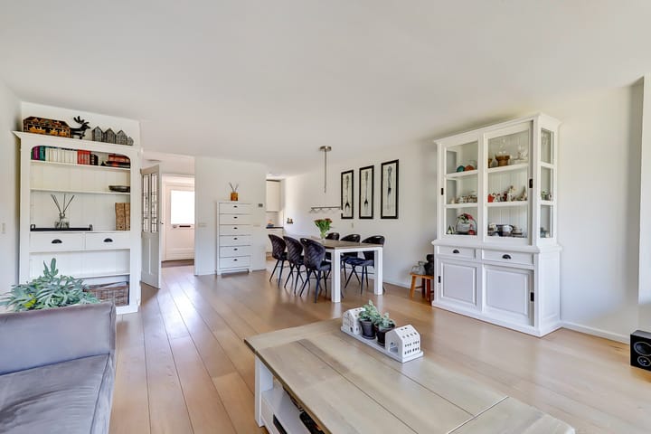 Foto 6 van Zeearend 20