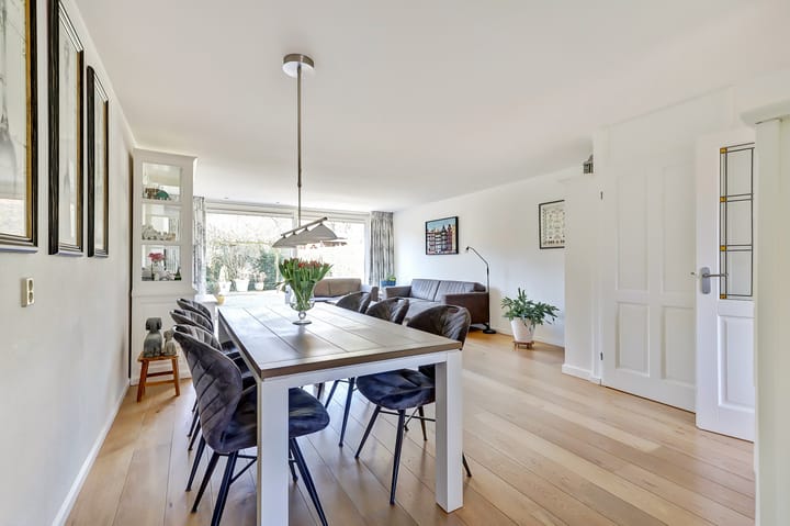 Foto 10 van Zeearend 20