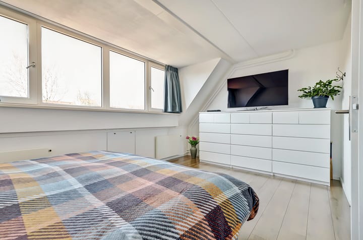 Foto 15 van Zeearend 20