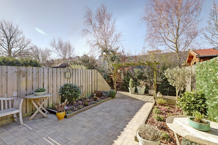 Foto 22 van Zeearend 20