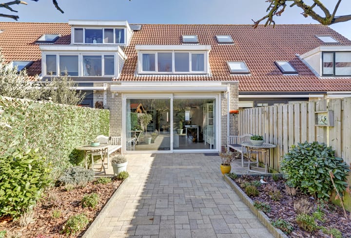 Foto 23 van Zeearend 20