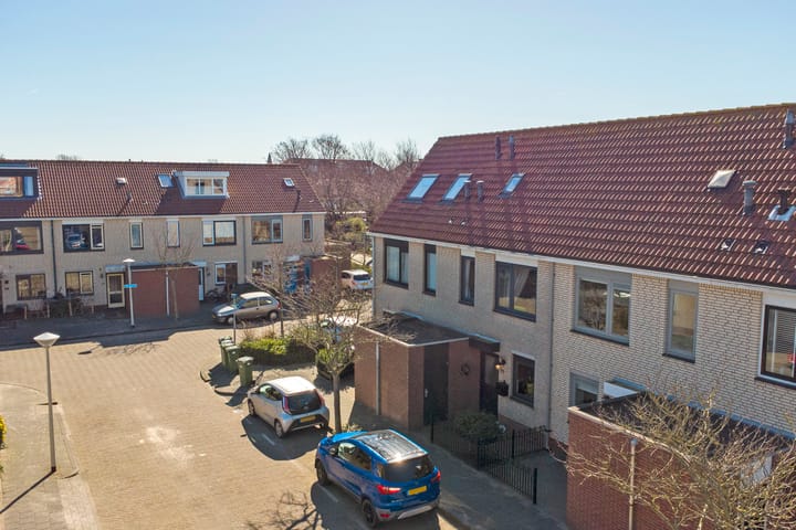 Foto 28 van Zeearend 20